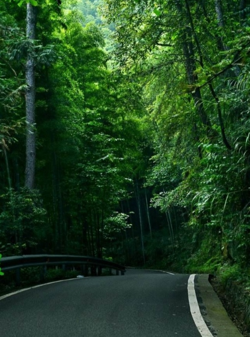 重庆市永川区茶山竹海派出所,重庆市永川区茶山竹海的海拔