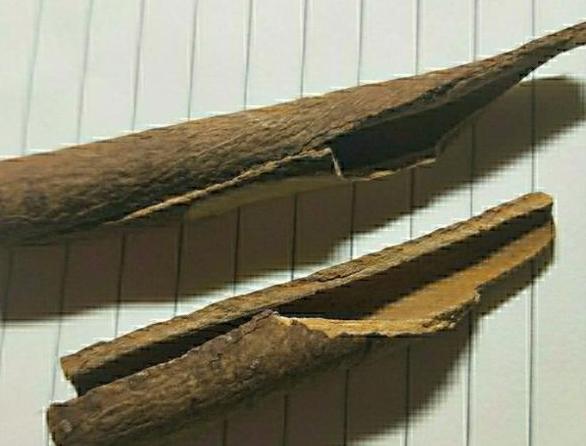 种花如何防烂根,烂根花草的养殖方法