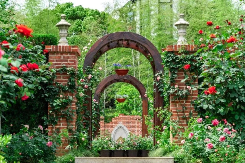 五一不能错过的花海,五一不能错过的美丽花海