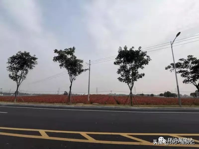 上海6条地铁3条城际,二三线高铁直达上海的城市