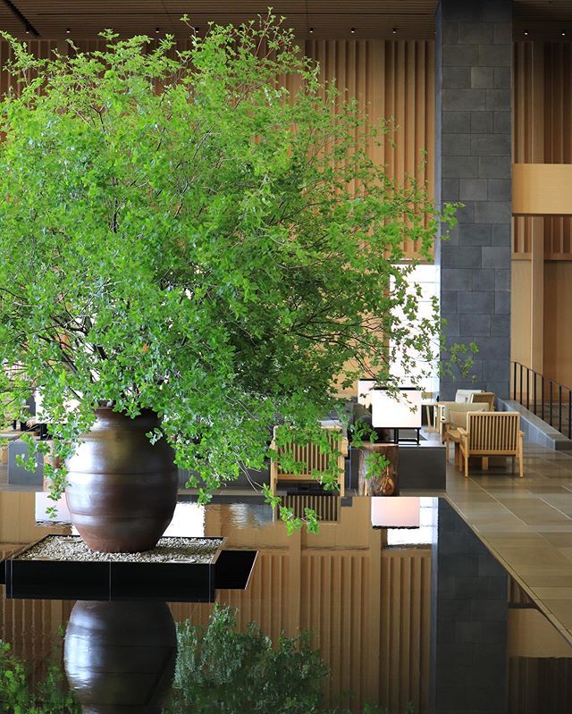 最美安缦,最好的安缦