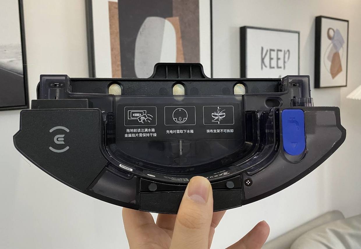 家有猫主的铲屎官,家有猫咪铲屎官