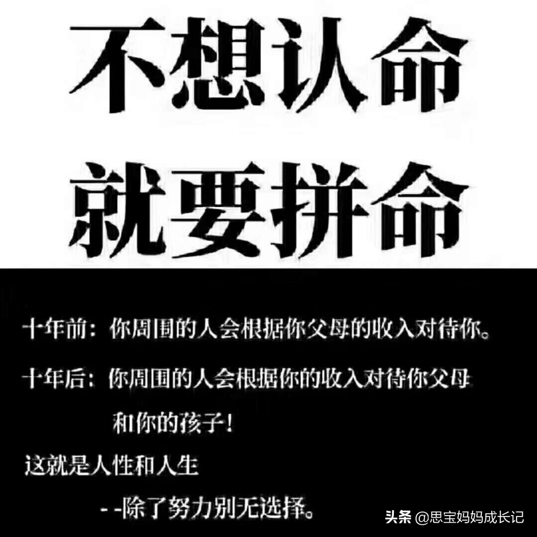 知名大学被开除的学生,西北大学硕士被辞退后续