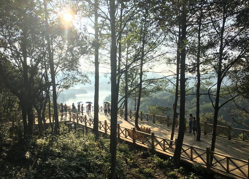 中国绿都最氧三明,中国绿都最氧三明春回大地