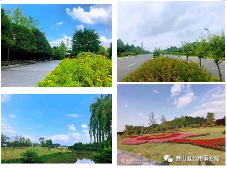 营山县公用事业局局长,营山县公用事业管理局电话