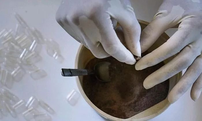 胎盘有人吃吗,胎盘吃了对身体有益吗