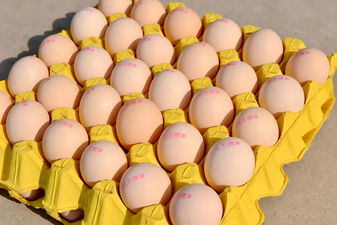 汝州这家养鸡场喂鸡用十几味中草药，产的鸡蛋有啥不一样？