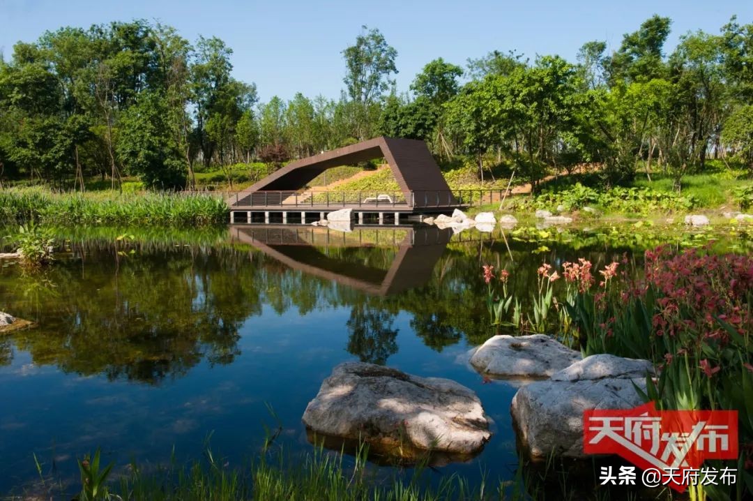 世警会游玩视频,世警会时间安排表