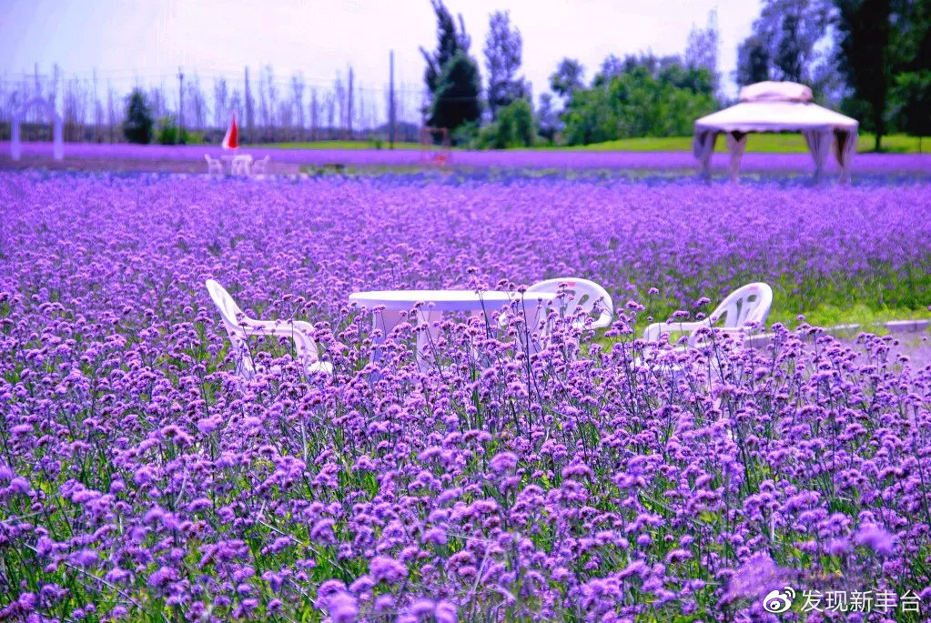 【FENG爆】5·19中国旅游日——*情纵**丰台，感受无限美景！