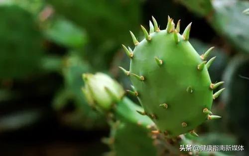 各种痛症外治中药配方,中药外敷调理各种疼痛