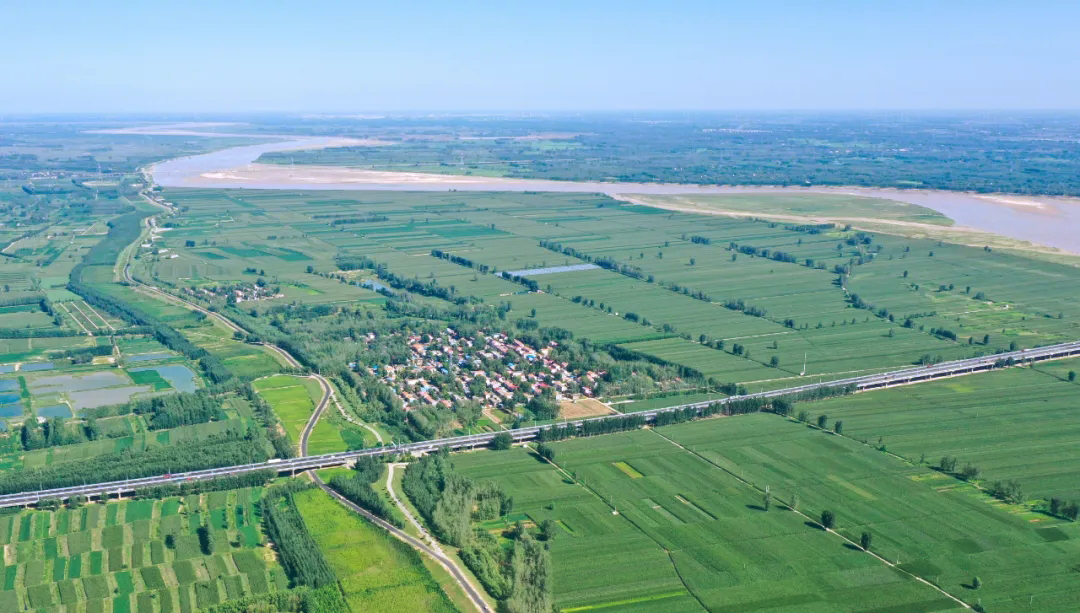 林业乡村振兴战略思路,乡村振兴电商新模式