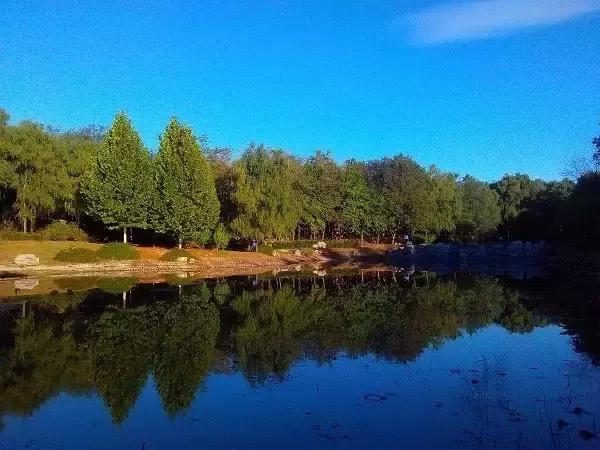 北京这38个森林公园您先收藏了!定个小目标,有空儿玩个遍!