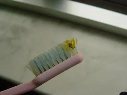 牙刷架那个灯真的能杀菌么,牙刷紫外线杀菌灯