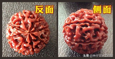 金刚菩提108颗都有什么皮质,金刚菩提的挑选