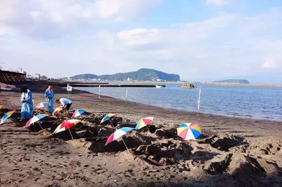 鹿儿岛与熊本,熊本县一日游超全攻略