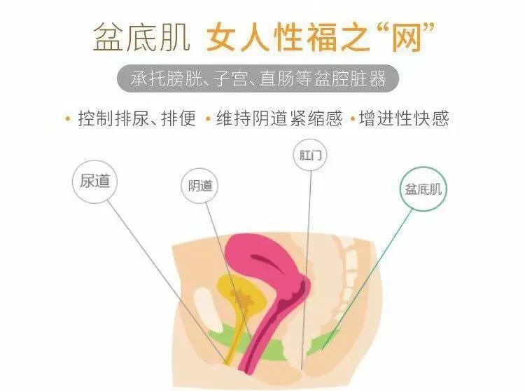 产后别只顾着形体恢复，做好这个最重要