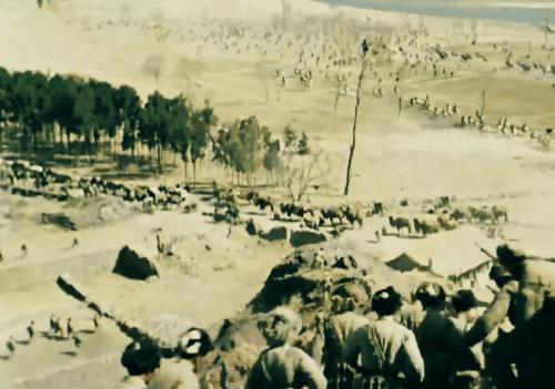 “三三制”拍出来不好看？密集冲锋的“人海战术”就好看了吗？