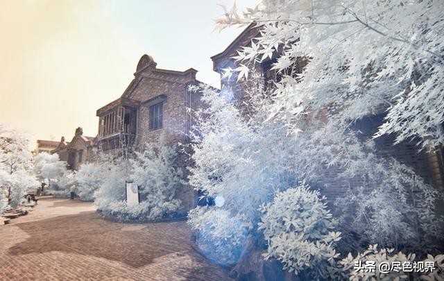 句容哪个地方猪头肉好吃,句容哪家猪头肉最好吃