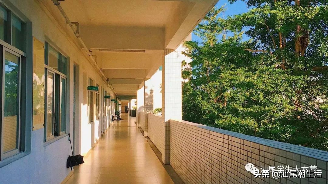 汕尾排名前十学校,汕尾海丰母校