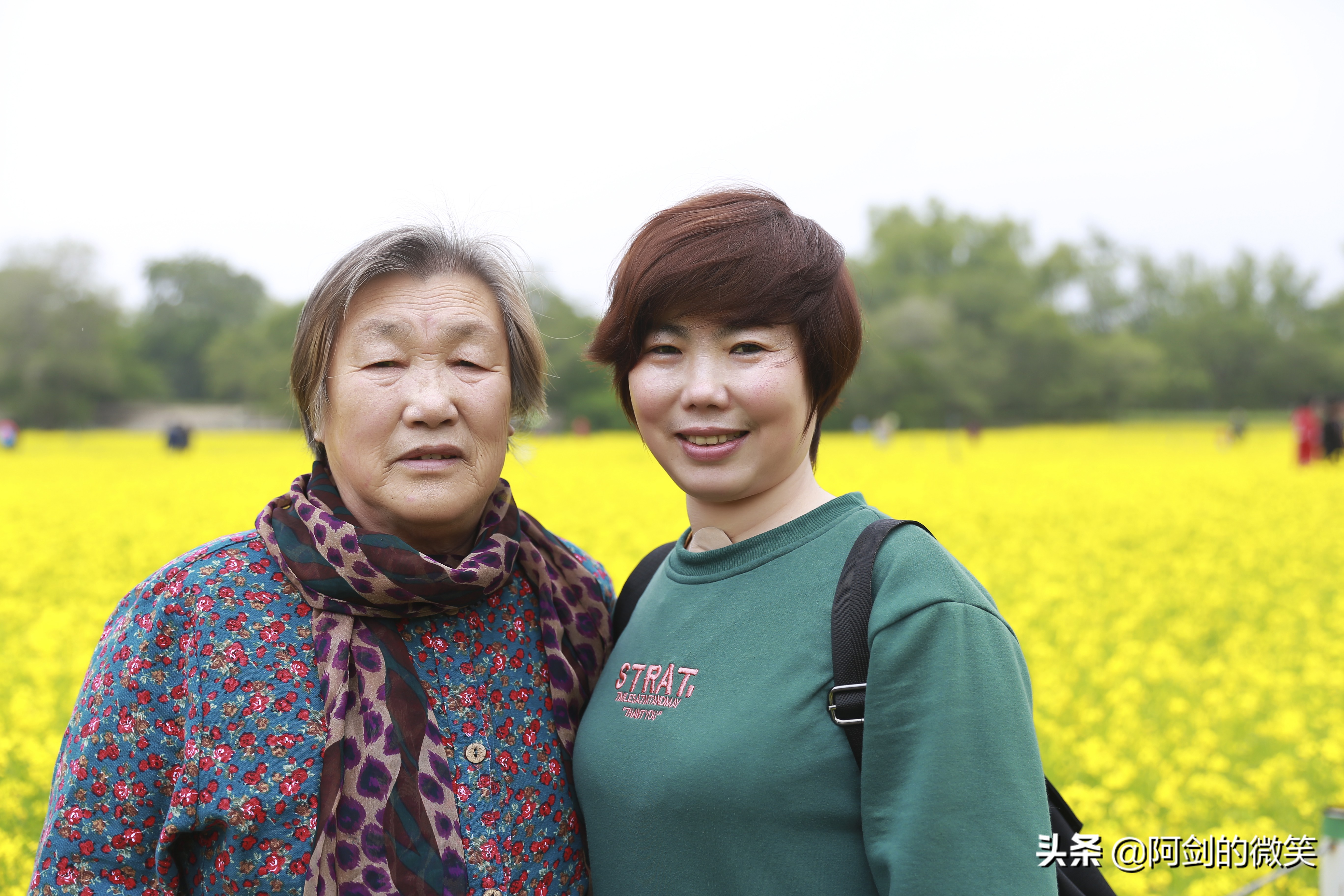 沈阳十一假期哪里有花海,沈阳玫瑰小镇温泉花海两日游