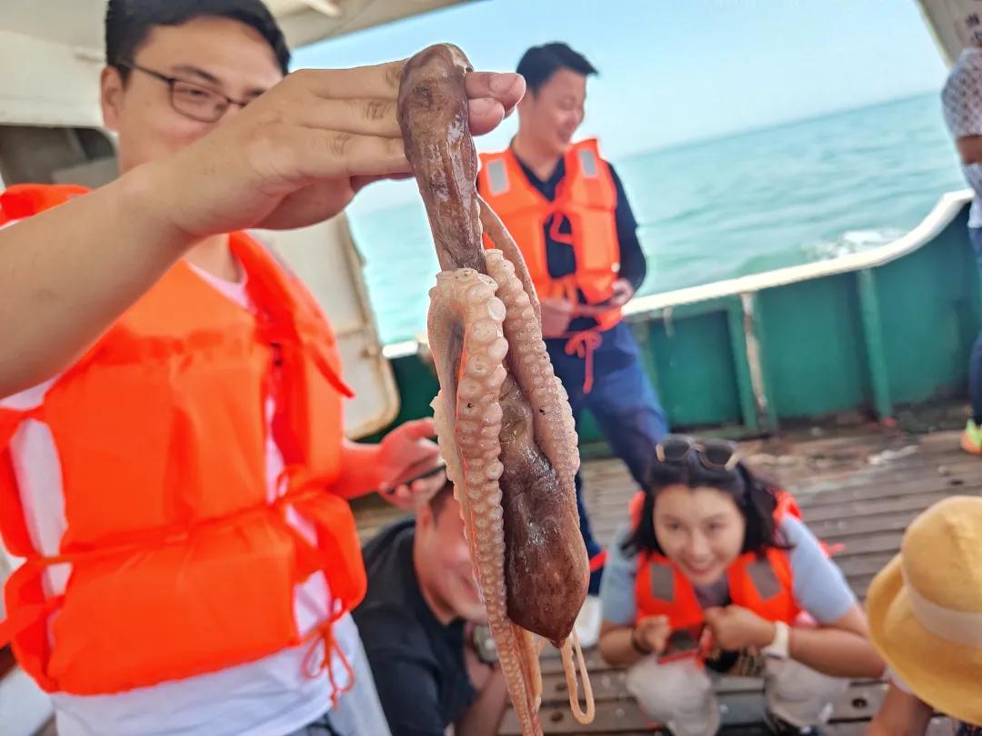 枸杞岛东方小希腊素材,被称东方小希腊风光无限的枸杞岛