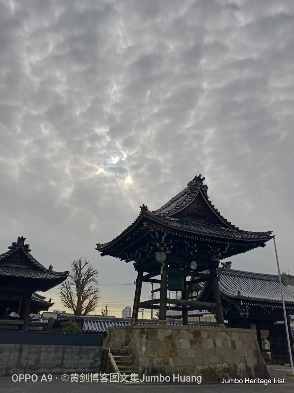 第997回：斋藤道三长良川战，明智光秀本能寺变