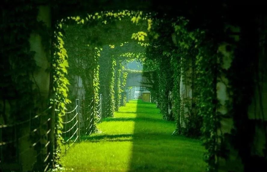 成都二环绿化,成都二环绿植视频