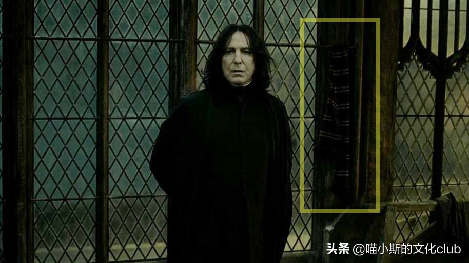 斯内普与哈利波特的小彩蛋,哈利波特中斯内普的小细节