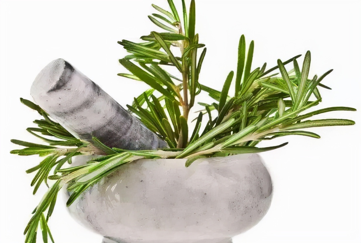 可以食用的香料植物,农村可以炒菜当香料的植物