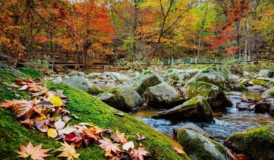 跳跃的乐章,跳跃的旋律原唱