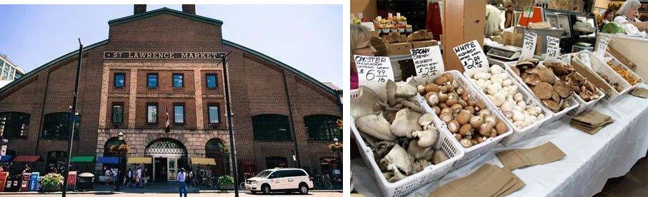 多伦多最有名的市场,在多伦多仓储式超市购物