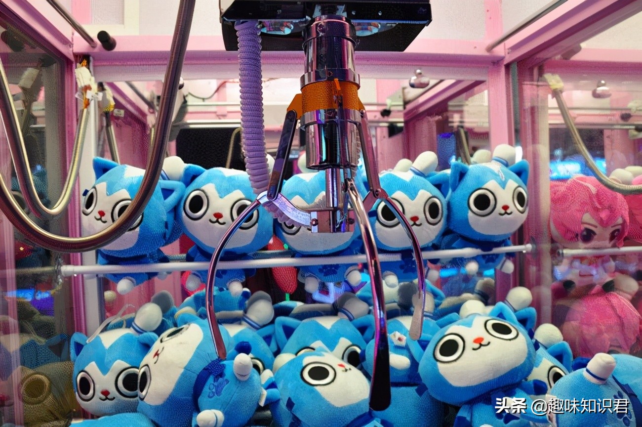 世界100个奇葩冷知识,世界上真的有趣的冷知识