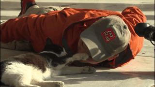 大家都在争抢猫爪杯？吸猫的最高境界，带着摄影机“猫步走天下”