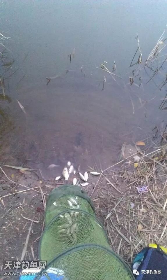 津南大学城，还是原来的地方，还是原来的味道