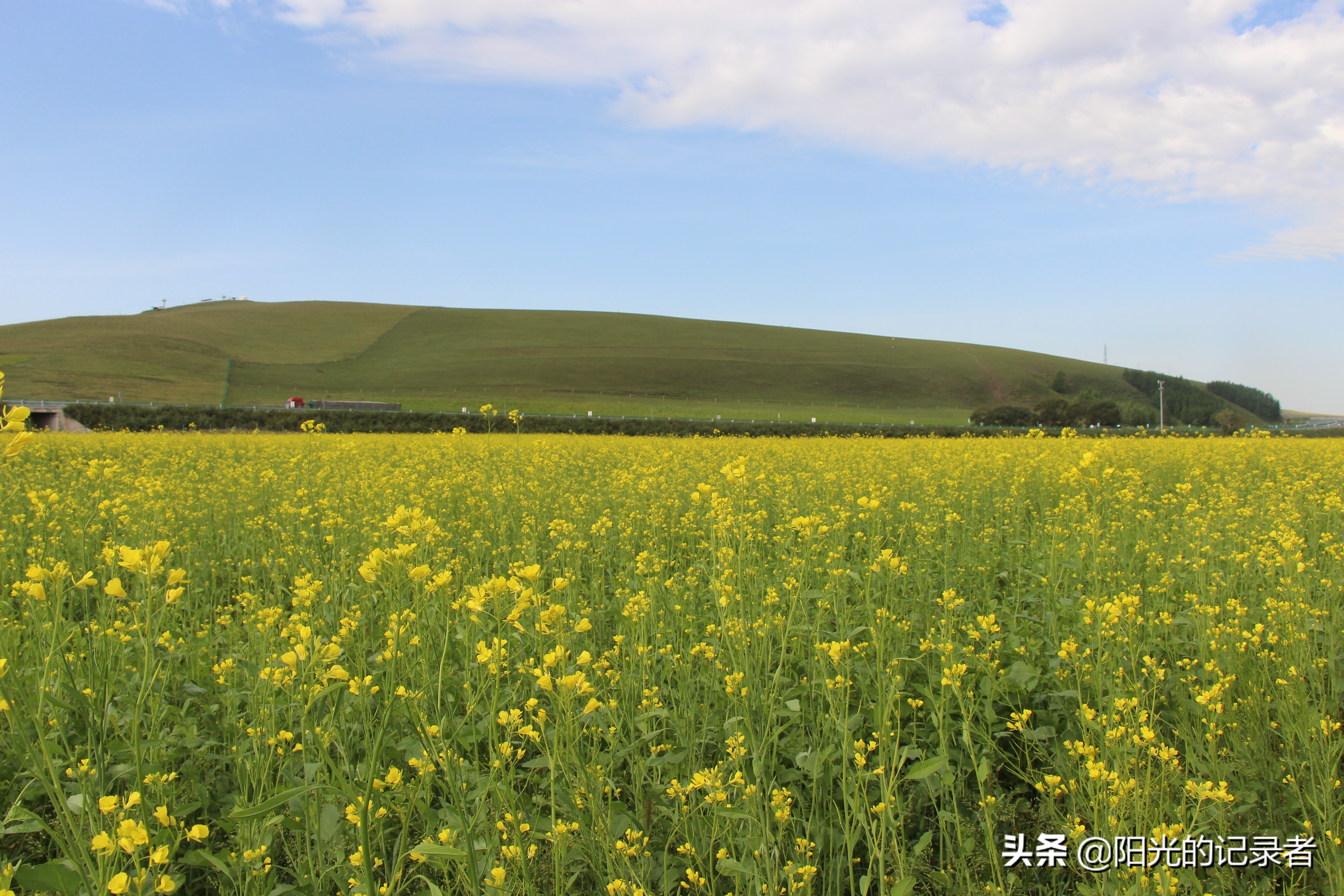 丰宁坝上草原哪几个免费景点必去,丰宁坝上景点冬天推荐