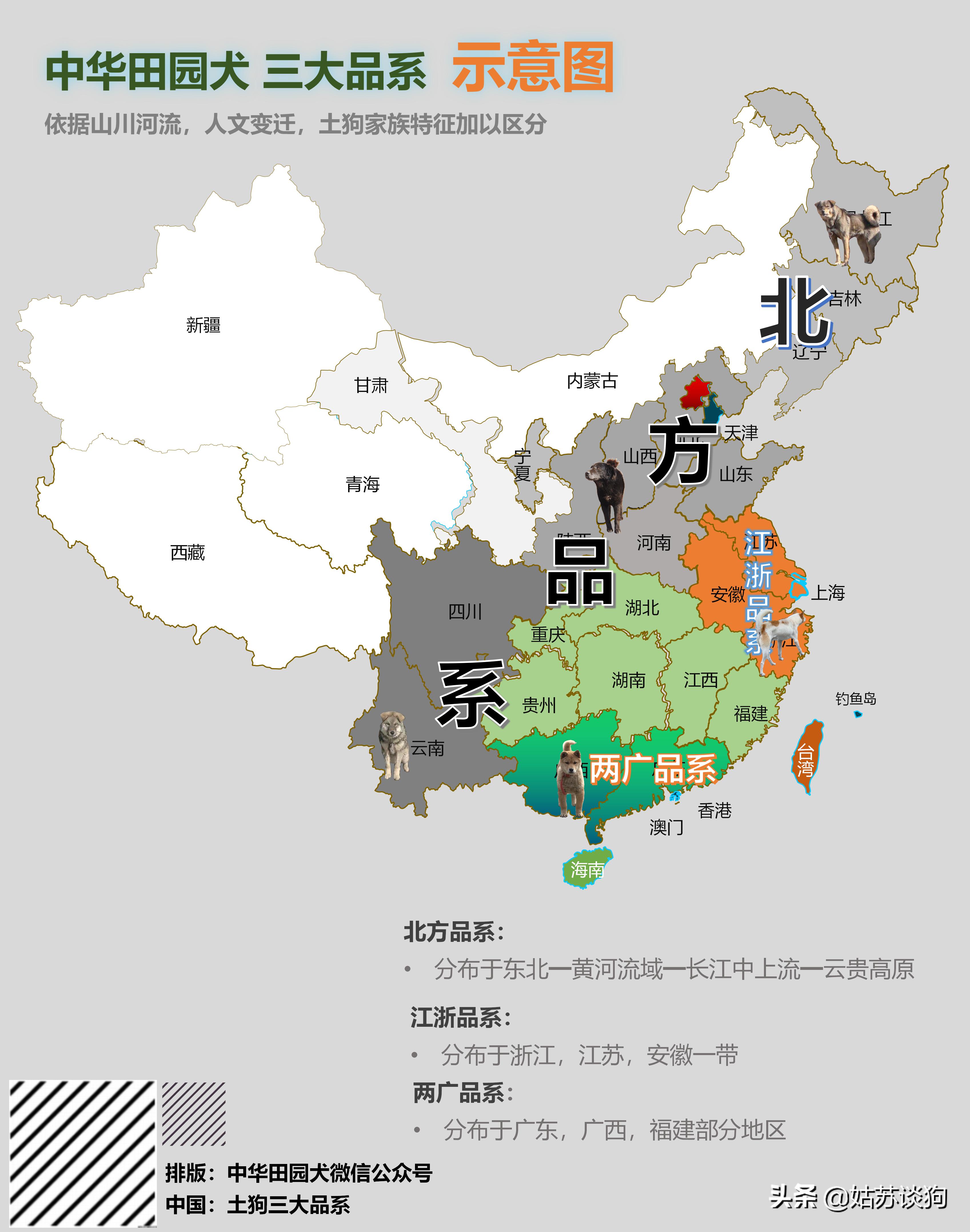 土狗毛多的好还是毛少好,农村土狗为什么越来越少