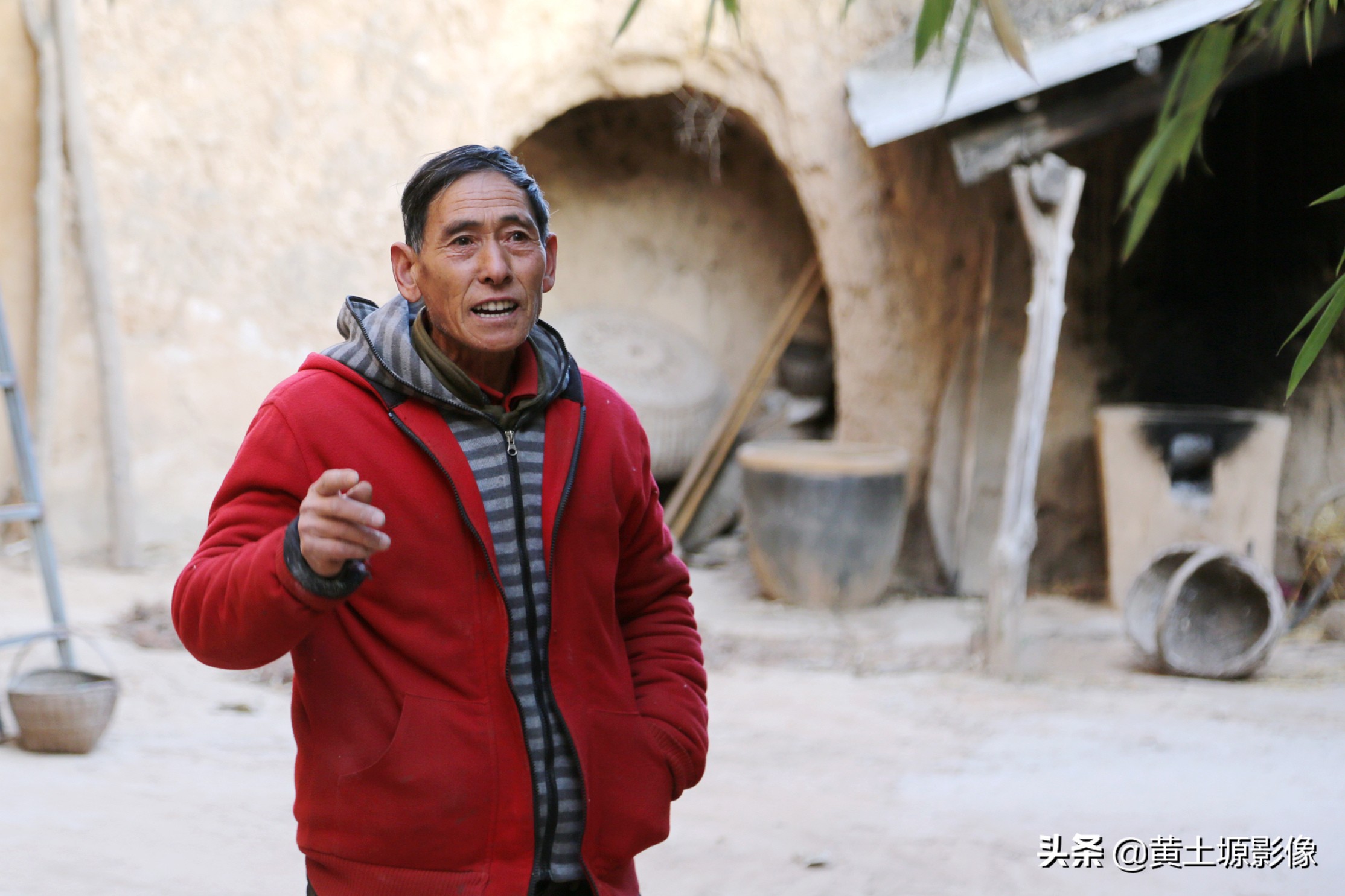 大叔在山上养小型凶猛土狗看家,农村大叔养十几条狗