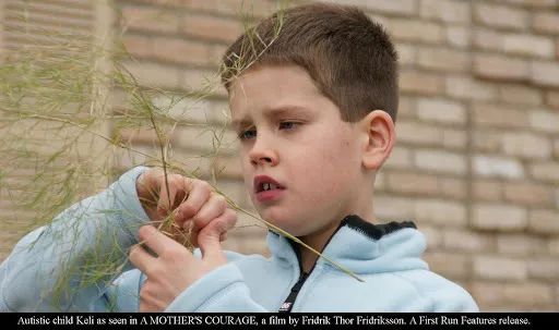 记录妈妈最美的样子珍藏版,妈妈必知的十大纪录片