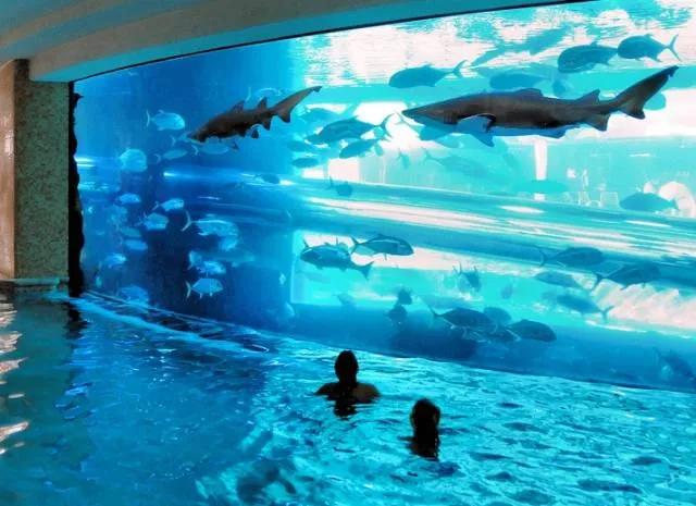 亿万富翁的有钱人生完整视频,亿万富豪的富贵人生