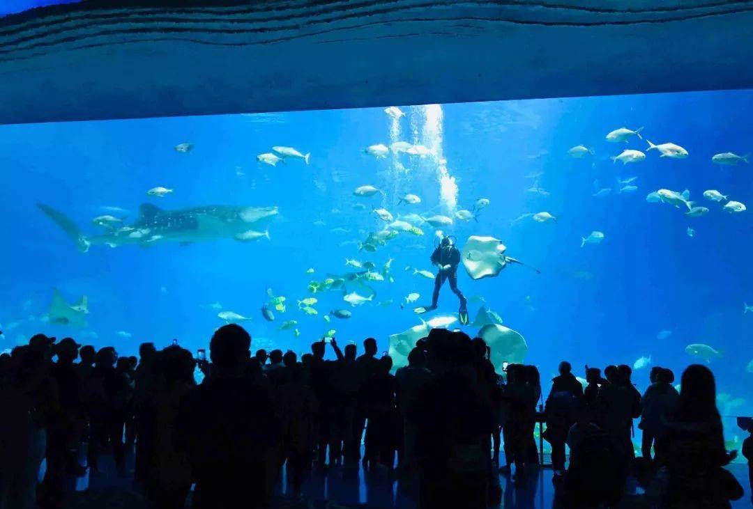 珠海长隆海洋王国附近住宿攻略,珠海长隆海洋王国三人住两天一夜