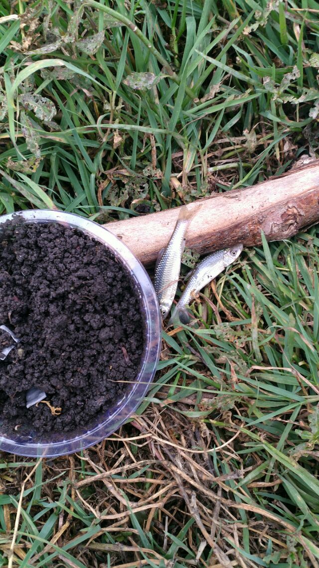 收费100一天的水库,离昆明市区最近的收费钓鱼水库