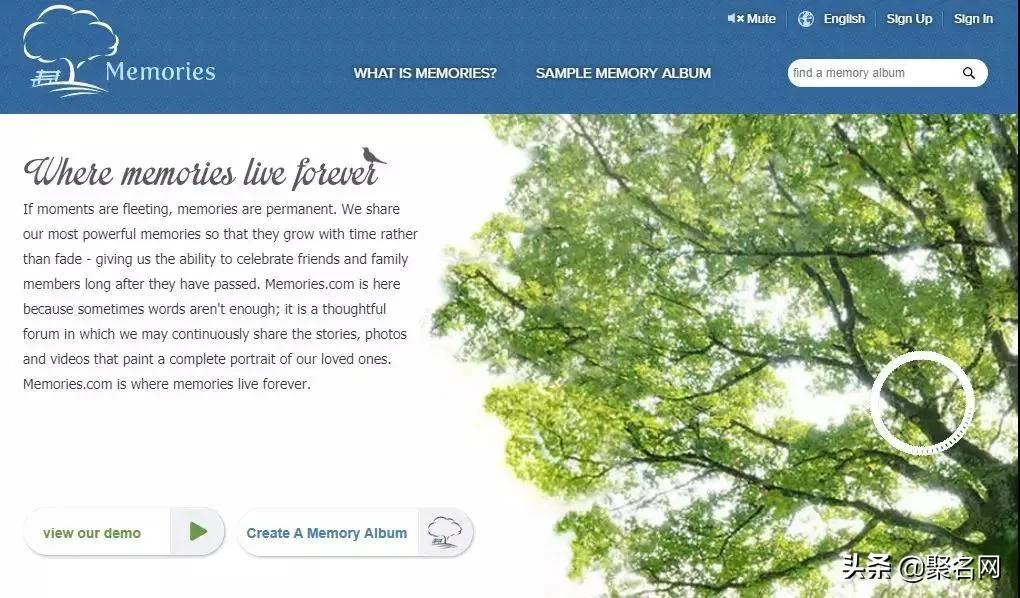 全球十大域名排行榜,全球天价域名排行