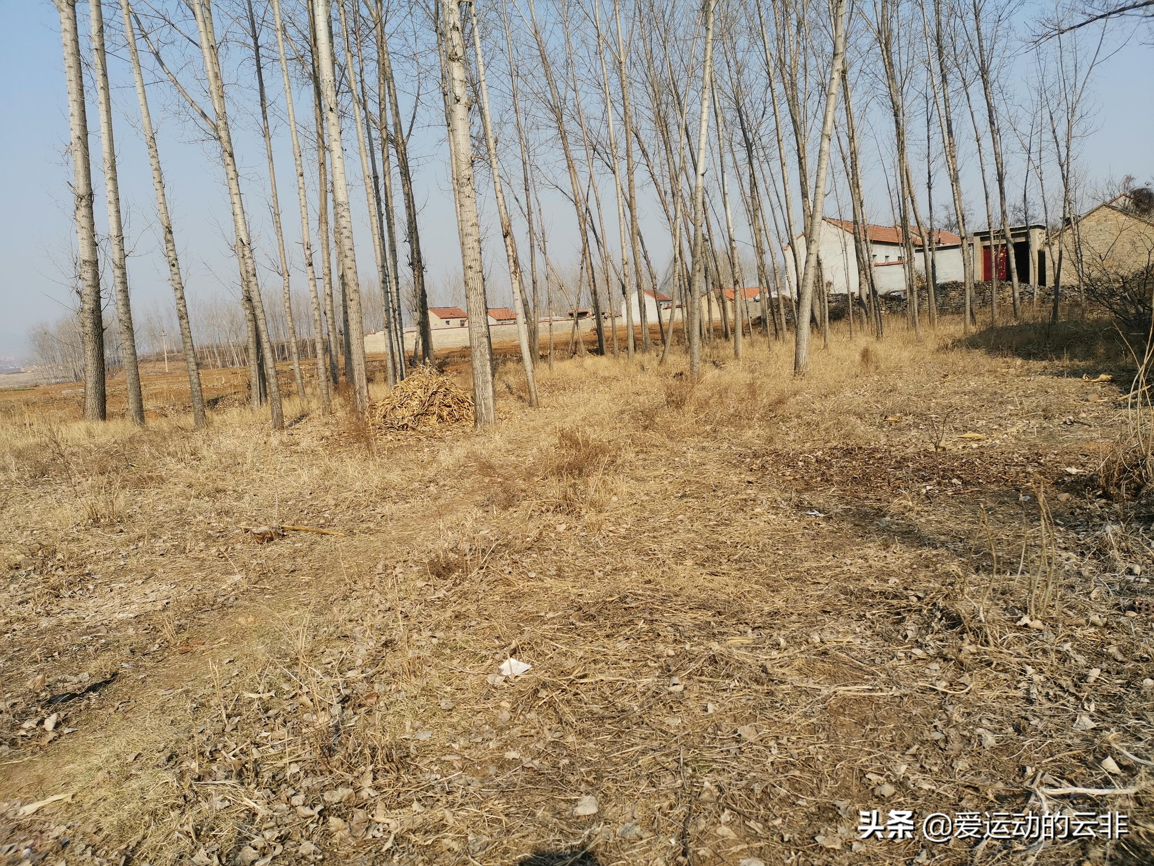 河边篮球场打球,球场回忆视频