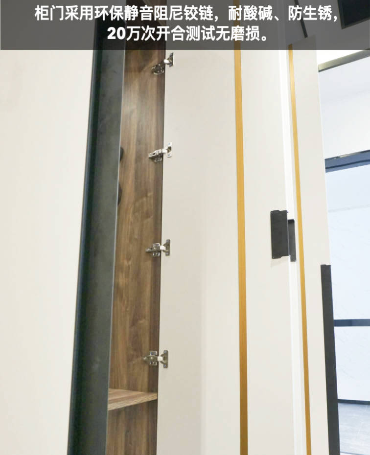 莱茵艾格定制家具测评：自带美术馆效果，让你家大到能“望远”