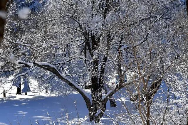 吉林省通化市柳河,吉林通化县柳河