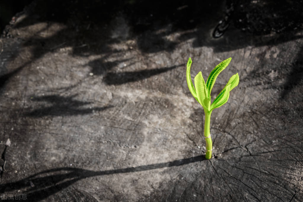 如何认识机会并抓住机会,人生的机会很重要