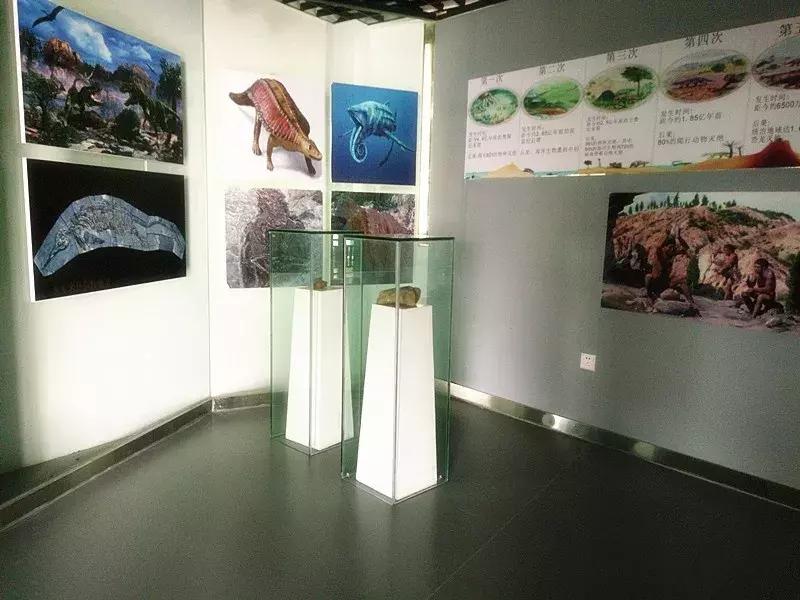 新区附近的旅游景点推荐,新区旅游攻略必去十大景点