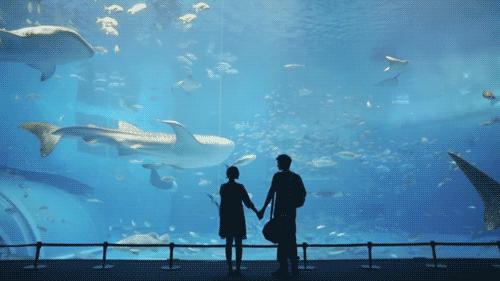 三观不合的婚姻永远沟通不了,两个人三观不合适合在一起吗