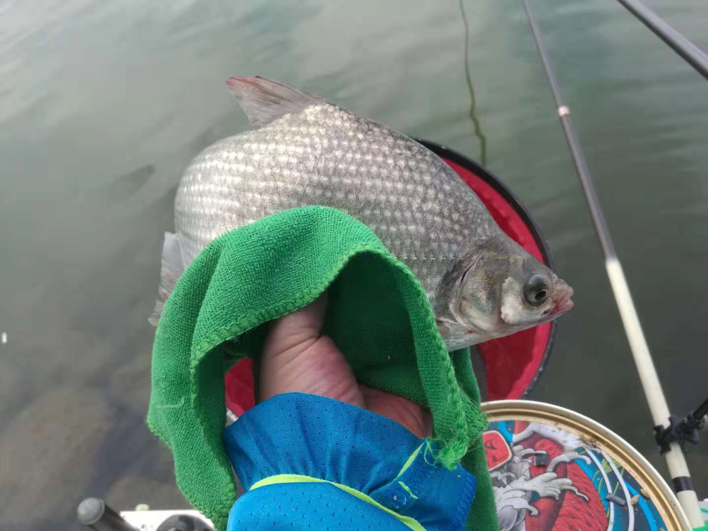 钓大鱼打截口技巧,野钓离底钓鱼怎么抓口最准确