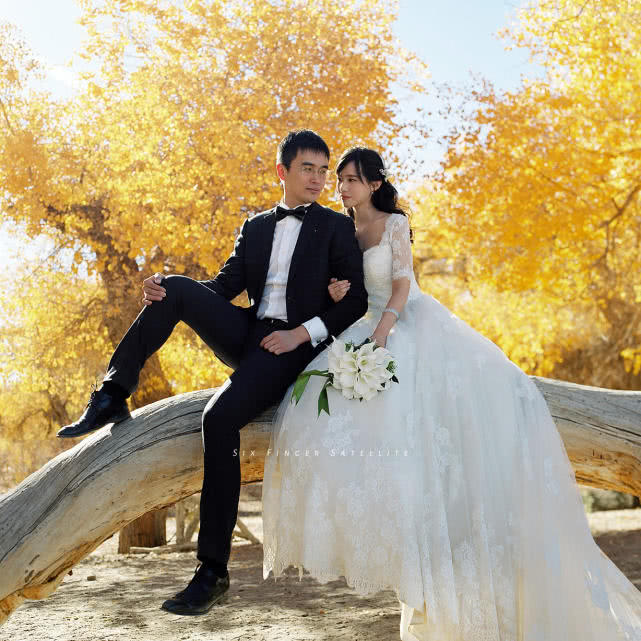 他们摄影,摄影师拍婚纱照油画